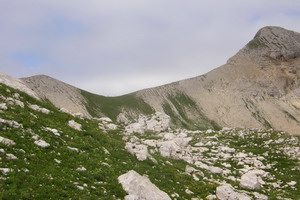 Фото 45 Восточная  часть Дзышринской котловины.