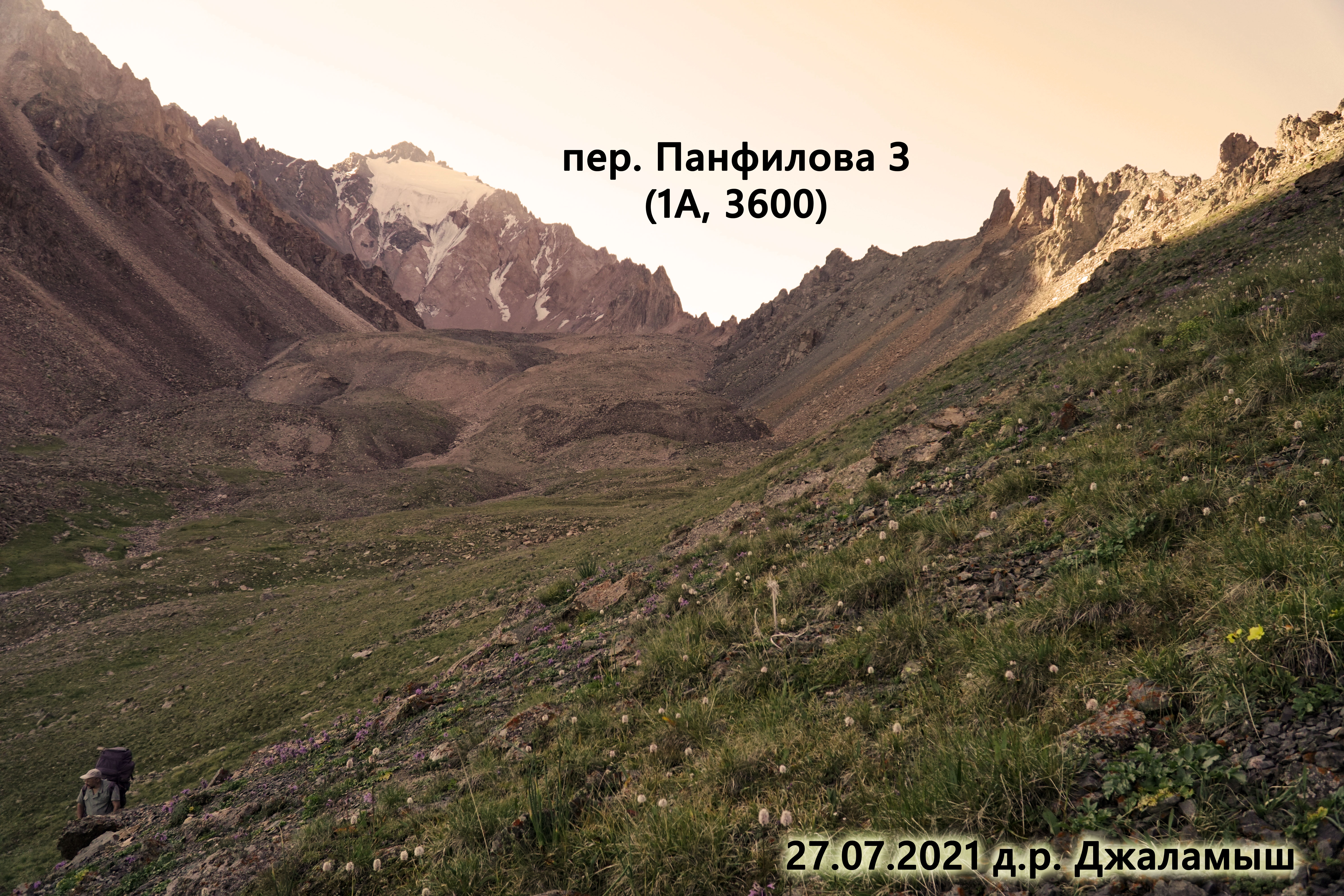 _DSC0353